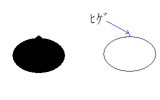 ヒゲ